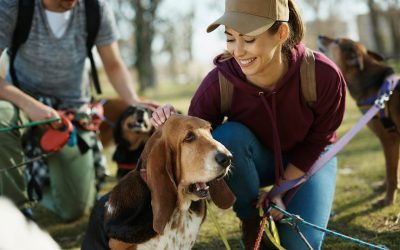 Building Trust: Key Qualities of Pet Sitters and Helping Timid Pets Adjust